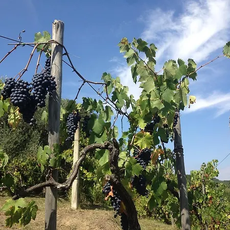Podere Morucciola アルコラ