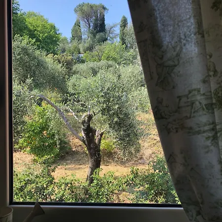 ゲストハウス Podere Morucciola *