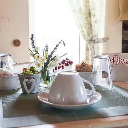 ゲストハウス Podere Morucciola