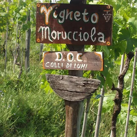 ゲストハウス Podere Morucciola アルコラ