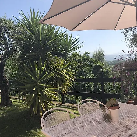 ゲストハウス Podere Morucciola *