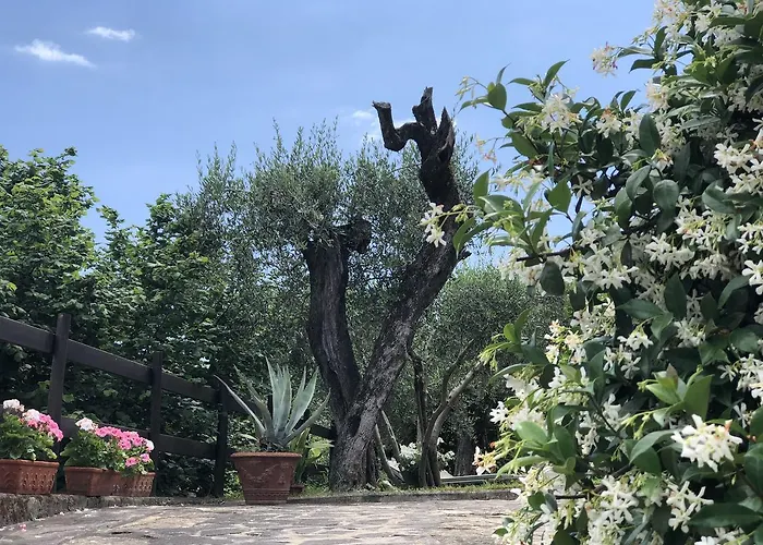 Podere Morucciola * 아르콜라