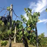 Podere Morucciola Аркола