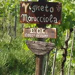 게스트하우스 Podere Morucciola 아르콜라