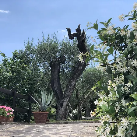 Podere Morucciola * Arcola