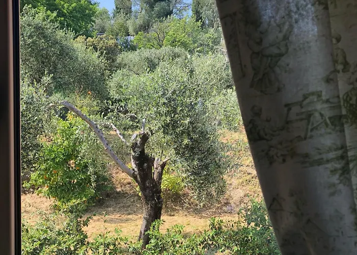 Pensión Podere Morucciola *