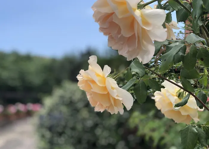 Podere Morucciola * Arcola