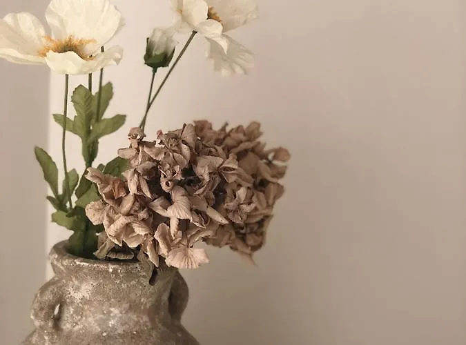 Podere Morucciola Casa de hóspedes